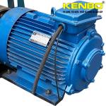 Tời kéo mặt đất KENBO JM5PRO